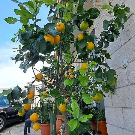 Bella Vista Hvar 别墅 赫瓦尔