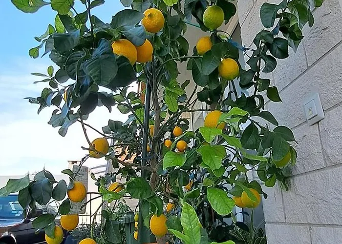 Bella Vista Hvar Vila Hvar Town